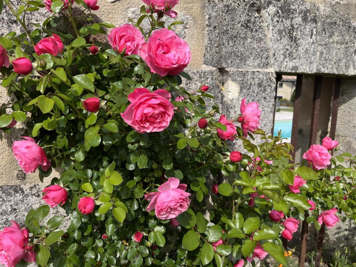 Bed and Breakfast Chateau Canteloup Saint-Caprais-de-Bordeaux Zewnętrze zdjęcie